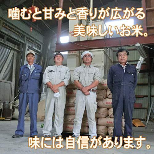  高級銘柄米 新潟産コシヒカリ 3kg 新米