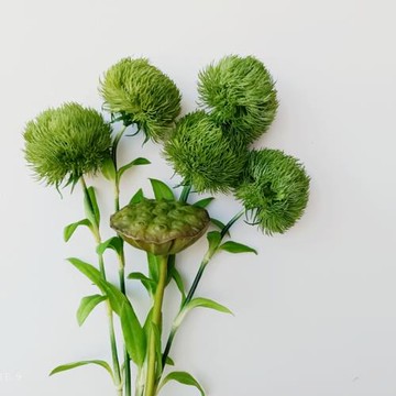 高品質夏季仿真綠毛球 綠石竹軟膠裝飾花藝diy樣板間插花陳列擺件