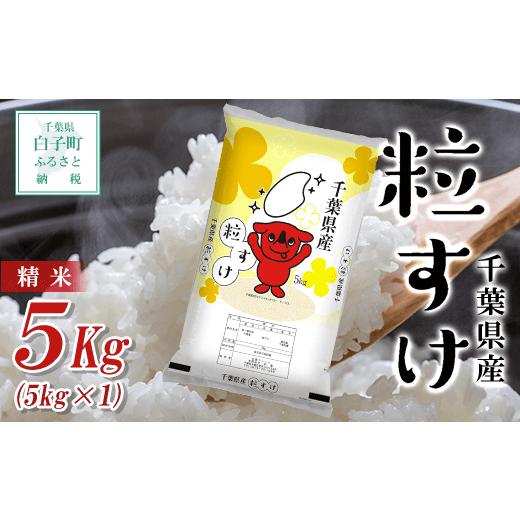 ふるさと納税 千葉県 白子町 令和5年産  千葉県産粒すけ＜精米＞5kg(5kg×1) ふるさと納税 お米 5kg 千葉県産 白子町 粒すけ 米 精米 こめ 年越し お…