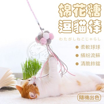 【小狐狸寵物】棉花糖逗貓棒 仙女逗貓棒 鈴鐺逗貓棒 流蘇逗貓棒 貓玩具  逗貓桿 貓咪互動 逗貓