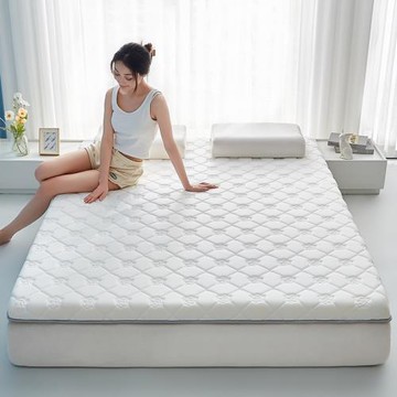 新款A類針織棉繡花乳膠抗壓棉床墊玫瑰圖案單邊款榻榻米乳膠墊子