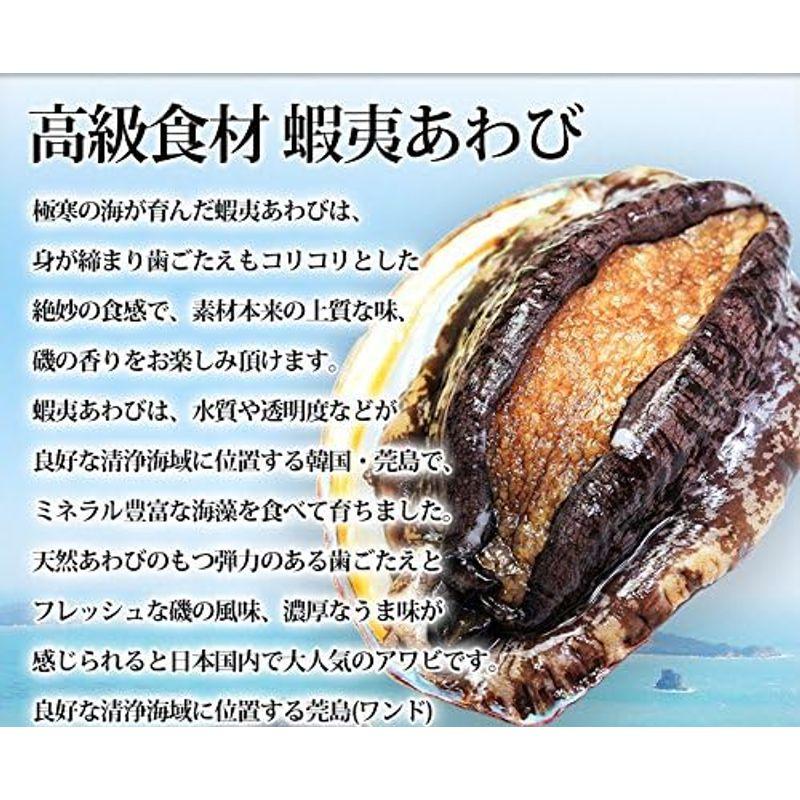 活蝦夷あわび（50g前後）1枚 活き物のため配送日時のご指定をお願いします。