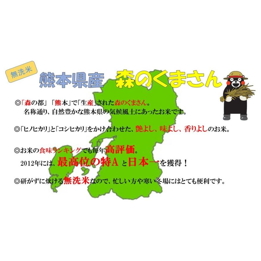 新米　米　お米　１０ｋｇ　（５ｋｇ×２）　くまモン　森のくまさん　無洗米　熊本県産　令和５年産　送料無料