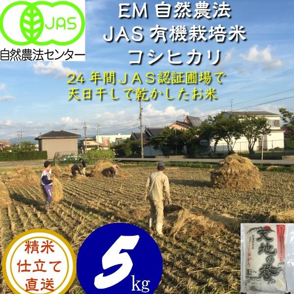 令和5年産 新米 無農薬 有機米 天日干し こしひかり 食用玄米 15ｋｇ 天地の誉 自然農法 新米 EM 農法 JAS 有機栽培米 オーガニック 有機 EM菌お米