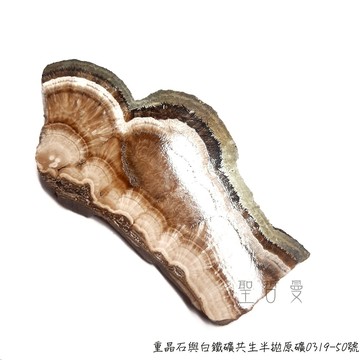 波蘭特產：重晶石與白鐵礦共生半拋原礦0319-50號 Barite/Baryte Marcasite