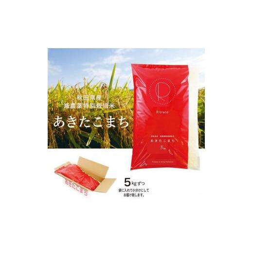 ふるさと納税 秋田県 秋田市 令和5年産 あきたこまちプレミアム　減農薬特別栽培米（5kg入り×2袋）