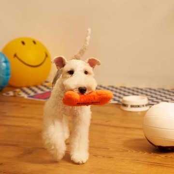 BROOKLYNWORKS Pet Toy 寵物玩具 - 三色任選