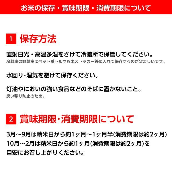 新米 令和5年産 福島県 中通産 ひとめぼれ 精白米 25kg (5kg×5袋) 小分け JGAP