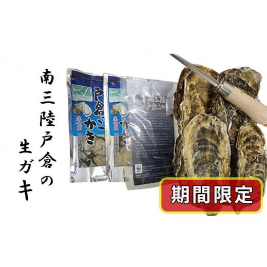 ふるさと納税 宮城県 南三陸町 期間限定 南三陸町産　戸倉っこカキ　600g （300g×2本） 、殻付きカキ　10個 （生カキ 生食用 剥き身 殻付）