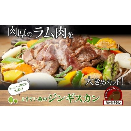 ふるさと納税 ようてい森のバーベキューセット ジンギスカン 300g ウィンナー 4種各1パック 粗挽き 行者ニンニク じゃがいも 玉ねぎ グルメ BB.. 北海道倶知安町