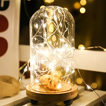 原木底玻璃罩  30 x 15cm  Clear  1個