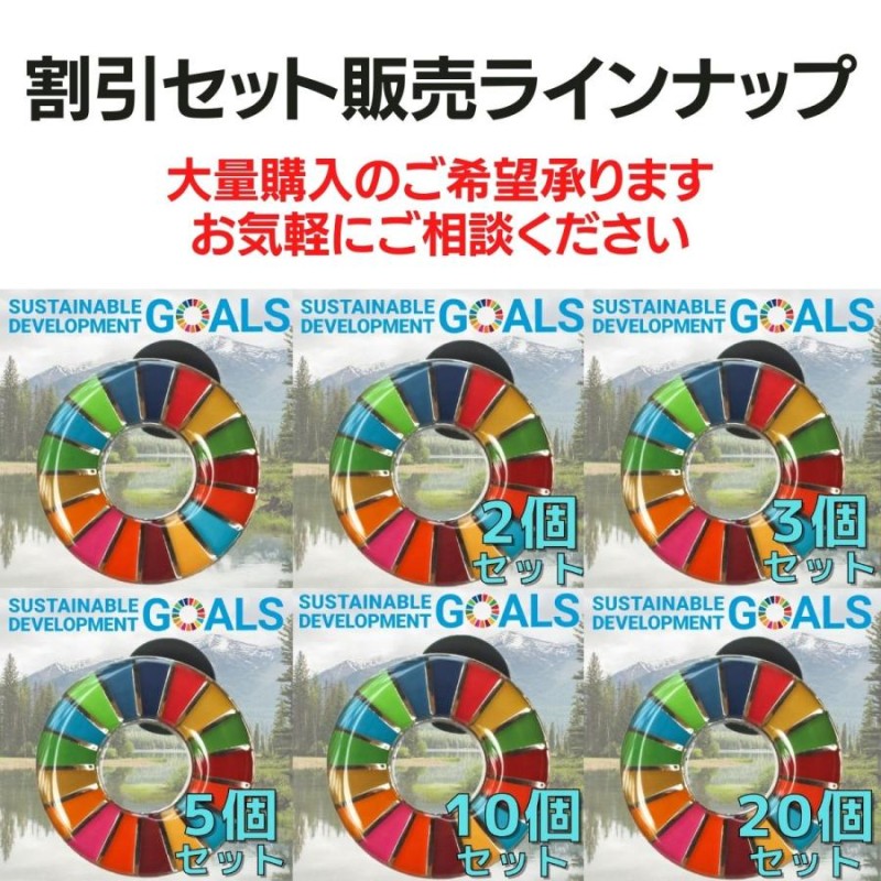 SDGs バッジ 本物 ピンバッジ 正規品 国連本部限定 丸みのあるタイプ