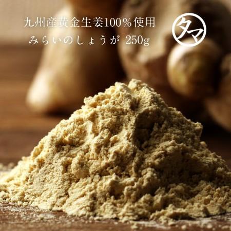 みらいのしょうが (生姜粉末) 250ｇ 黄金生姜 ＆ 黒蒸し生姜 無添加 熟成 ブレンド 生姜粉末 ジンジャー パウダー 業務用 送料無料