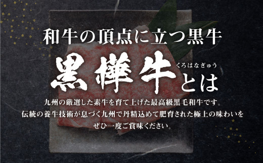 くまもと黒毛和牛 黒樺牛 A4~A5等級 ローススライス すき焼き用 250g 国産 九州 熊本県産 冷凍