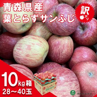 ふるさと納税 青森市 令和6年1月中旬より発送 訳アリ 葉とらずサンふじ10キロ箱 28〜40玉 津軽産直組合直送!