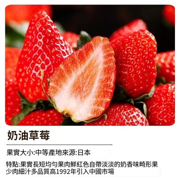 台灣現貨 奶油草莓種子 高產大果 牛奶草莓苗 香甜四季開花 家庭陽台盆栽 室內外可種 易活好養 新手推薦