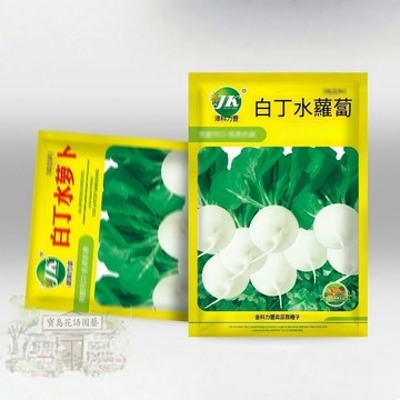 🥕原廠大包裝 白丁水蘿蔔種子（約500粒）白珍珠蘿蔔、白櫻桃蘿蔔 40天收成！白皮白肉水果蘿蔔 農家蔬菜種子/原裝包對版