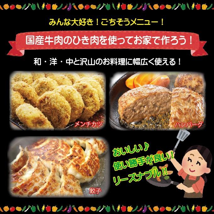 牛肉ひき肉国産100％ 500ｇ入 冷凍  パラパラミンチではありませんが格安商品  挽肉 挽き肉 牛ミンチ 牛ひき肉 牛挽肉