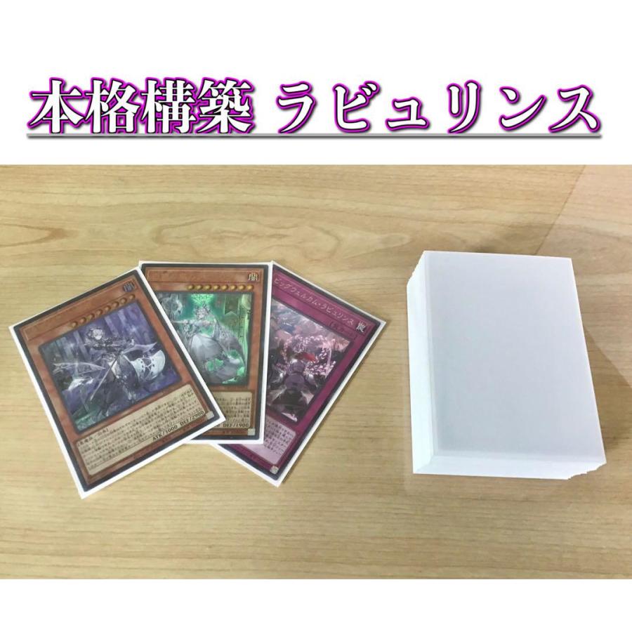 遊戯王 本格構築 デッキ＆エクストラ＆二重スリーブ