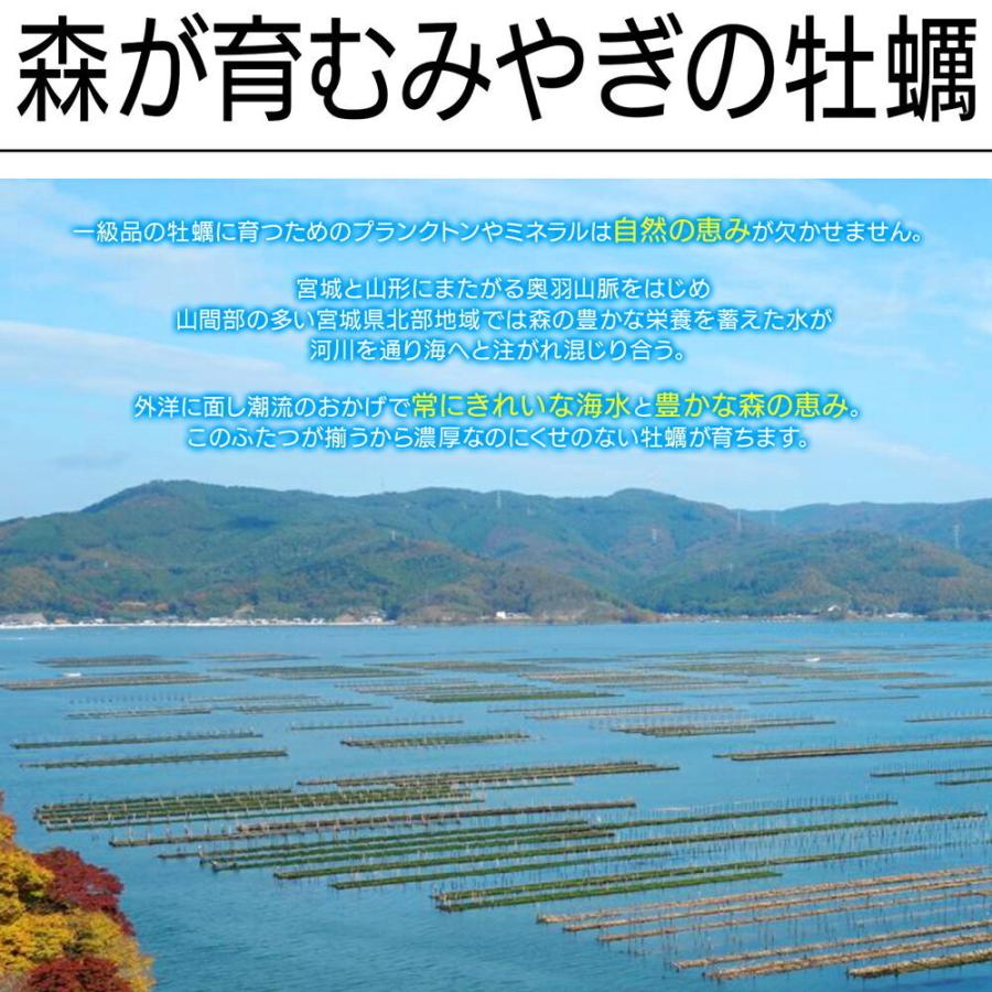 生食OK サイズ選べる 殻付き 牡蠣 宮城県産 1kg 13〜20個入 身入り抜群 冷凍 かき カキ お試し 産地直送