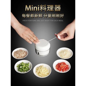 迷你蒜泥神器壓蒜搗蒜家用小型大蒜料理蒜蓉打絞蒜切蒜手動攪碎機