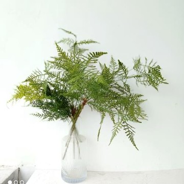仿真花植物草蚊竹 秋色鳳尾蕨草 插花配草工程背景墻裝飾花文竹