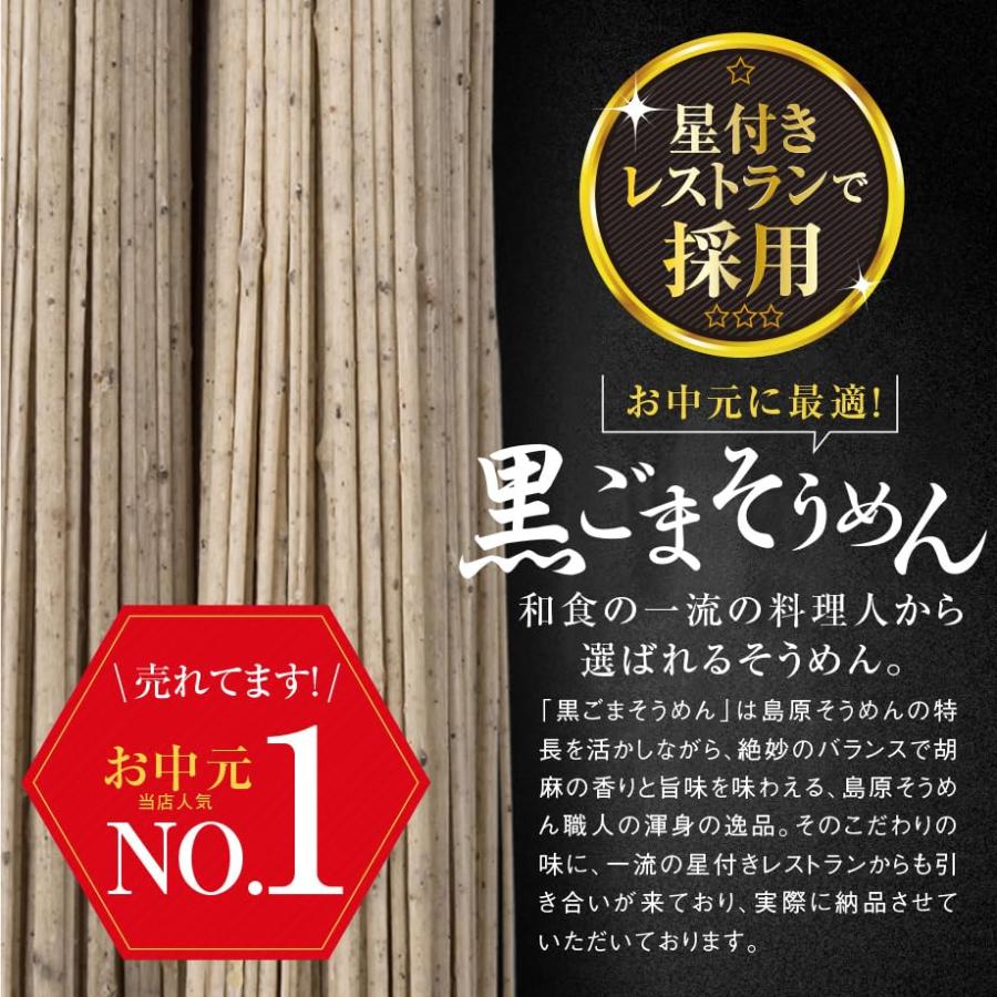 Settella 島原手延べ黒ごまそうめん 50ｇ?15束 750g ギフト包装 贈答 お中元