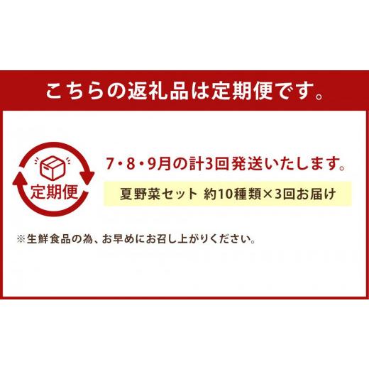 ふるさと納税 京都府 京都市 ＜3回定期便2024年7・8・9月発送＞夏野菜セット（約10種類）