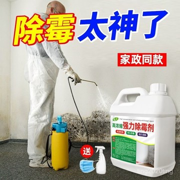 臺灣出貨🚚牆壁除霉劑 牆體除霉劑 牆壁除霉噴霧 牆面除霉劑 牆壁除黴噴霧 家用牆體除霉劑 墻體防黴噴霧 除霉達人牆壁清潔