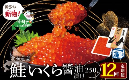 希少な新物いくら！計3kg  漁協 直送！本場「北海道」 いくら 醤油漬け（ いくら イクラ 鮭卵 定期便 醤油漬け 北海道 別海町 人気 ふるさと納税 ）