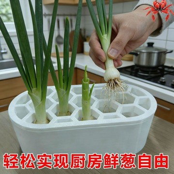 🔥臺灣出貨🔥小葱水培再生种植器 阳台水培懒人家庭种植盆