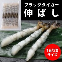  尾付き伸ばしえび(BT)16 20冷凍