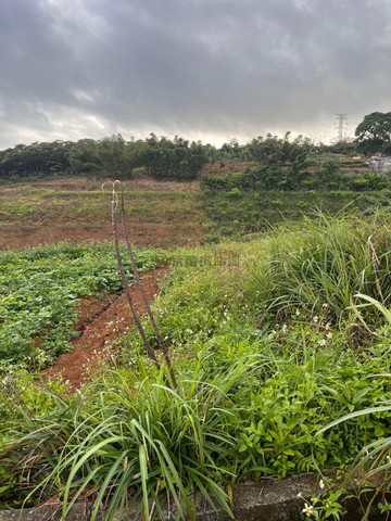 石門快樂當農夫｜新北市石門區老崩山