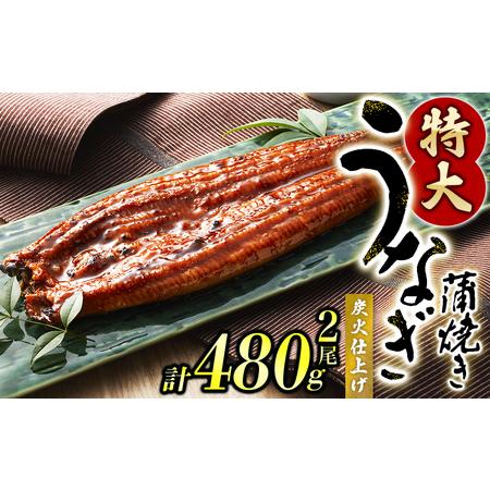 ふるさと納税 鰻 うなぎ うなぎの蒲焼 炭火焼き 炭火   1尾で約240gのビッグサイズ うなぎ蒲焼 2尾 計約480g （タレ・山椒付き） 中国産 【n.. 和歌山県紀美野町