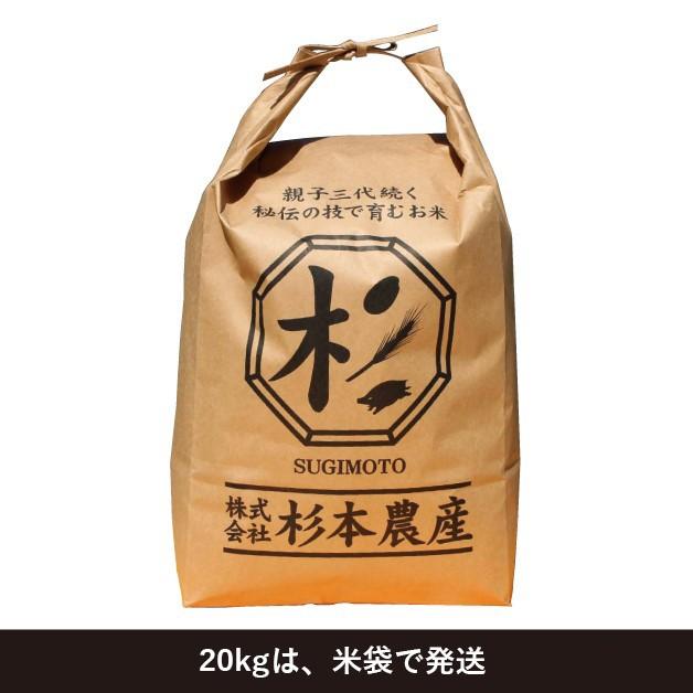 令和5年度産 　キヌヒカリ　精米　白米　20kg　兵庫県上郡町産　送料無料