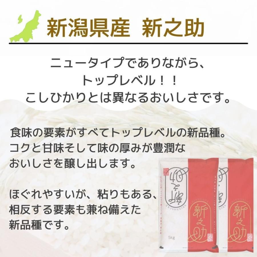 受注精米 新潟県産 新米 新之助 5kg お米 送料無料 白米 新品種 2023年 令和5年産