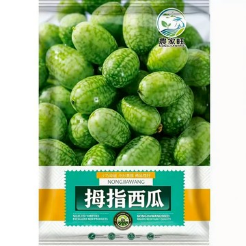 【原廠包裝】拇指西瓜種子（Thumb Watermelon）50粒裝 可愛盆栽可食 迷你西瓜盆栽 陽台種植 新奇水果
