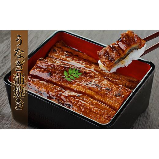 ふるさと納税 福井県 越前市 国産！特上うなぎのかば焼き 約250g × 4尾 × 2回お届け （毎月お届け）