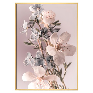 Boluo 菠蘿選畫所 花語蘋果花掛畫 40 x 30cm - 居家裝飾藝術  木色