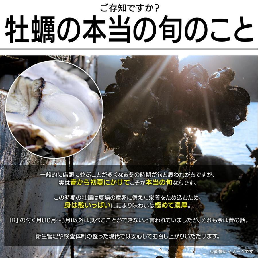 生食OK サイズ選べる 殻付き 牡蠣 宮城県産 1kg 13〜20個入 身入り抜群 冷凍 かき カキ お試し 産地直送