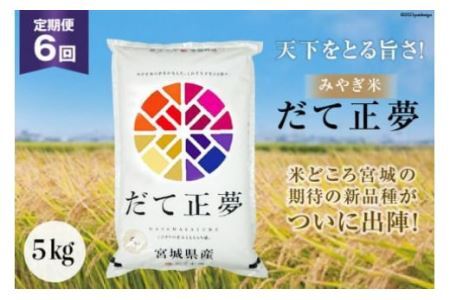 お米 6回 定期便 みやぎ米 だて正夢 5kg×6回 総計30kg [菊武商店 宮城県 気仙沼市 20562743]