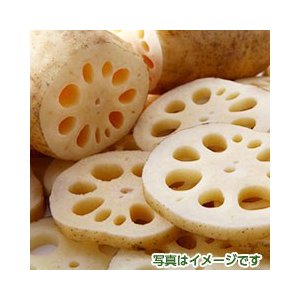 佐賀県産　レンコン　500g