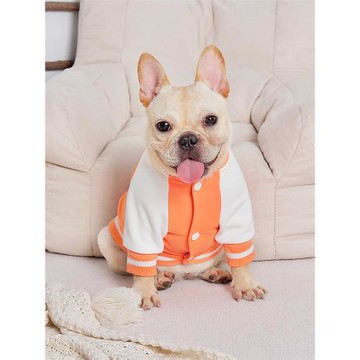 巴哥法斗衣服秋季棒球服潮牌寵物比熊泰迪狗狗衣服春秋款開衫外套