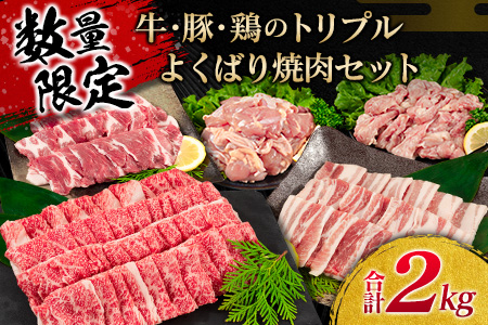 ≪数量限定≫牛・豚・鶏のトリプルよくばり焼肉セット(合計2kg)　肉　牛肉　豚肉　鶏肉 C73-21