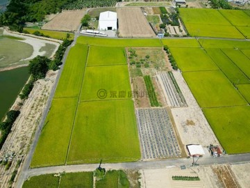 路竹高雄小城旁｜優質方正農地｜2.97分｜高雄市路竹區新興段