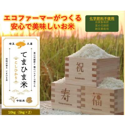 ふるさと納税 久喜市 令和5年産  旨味が香る『てまひま米』(こしひかり)　精米10kg(5kg×2袋)