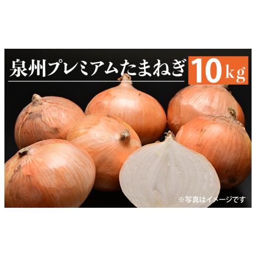 ふるさと納税 大阪府 泉佐野市 射手矢さんちの泉州プレミアムたまねぎ 10kg