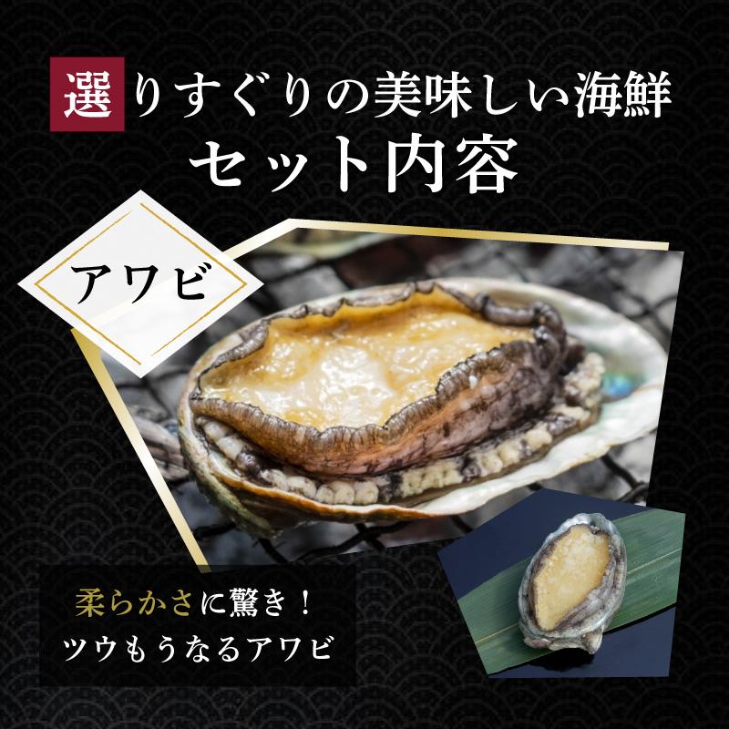 海鮮バーベキューセット 海鮮5種全28品(5〜6人前) BBQ アワビ イカ エビ ホタテ 送料無料 内祝い お歳暮 プレゼント ギフト 年末年始