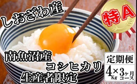 生産者限定 契約栽培 南魚沼しおざわ産コシヒカリ