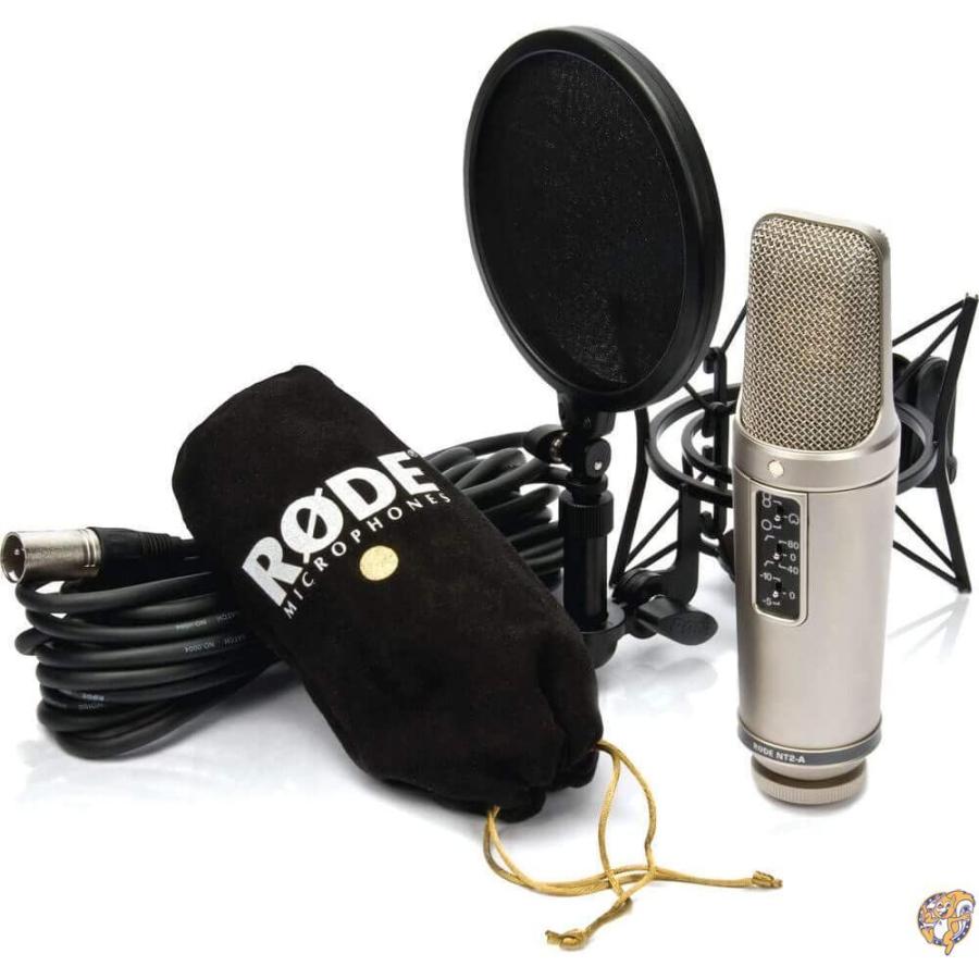 RODE Microphones ロードマイクロフォンズ NT2-A コンデンサーマイク NT2A 送料無料